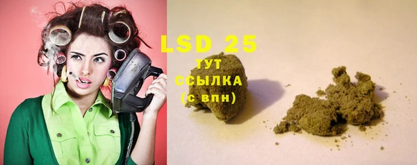 стафф Алзамай