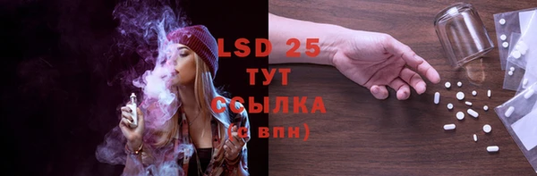 индика Абинск