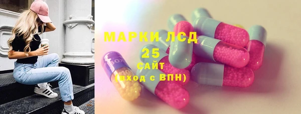 индика Абинск