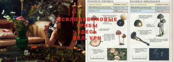 марихуана Абаза