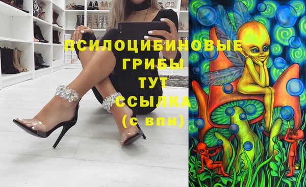 марихуана Абаза