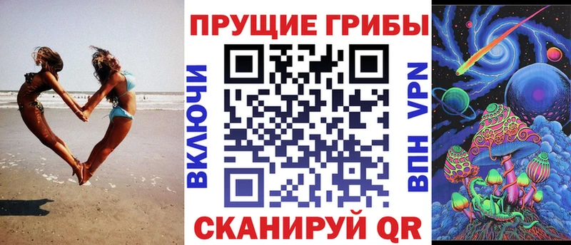 купить закладку  Домодедово  дарк нет наркотические препараты  Псилоцибиновые грибы Cubensis 